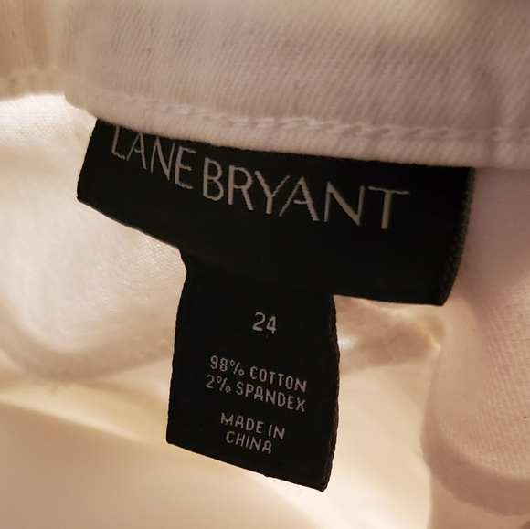 Lane Bryant Denim Skirt - Picture 4 of 5